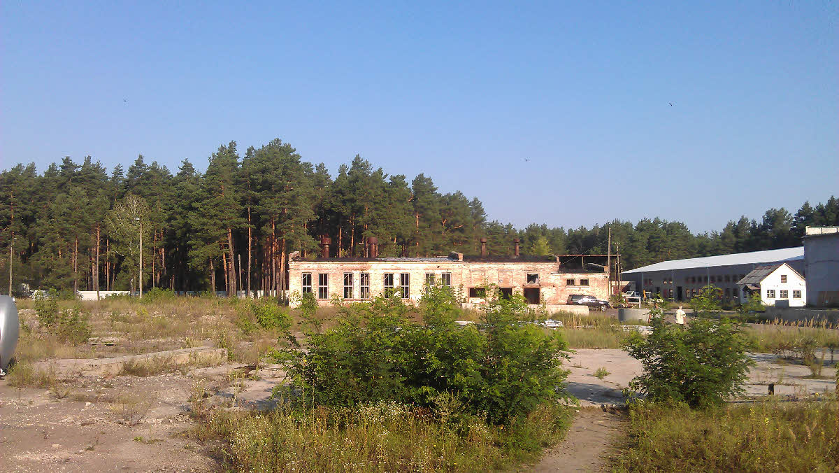 IMAG0698.jpg