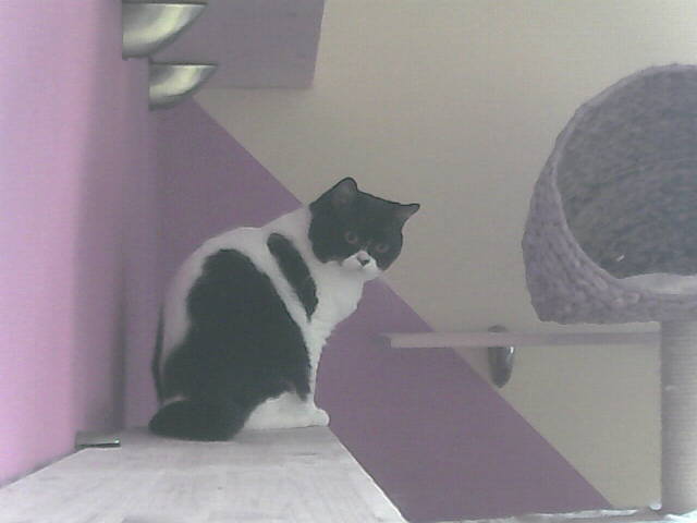 snapshot_00EA216327D1_20120826160307.jpg