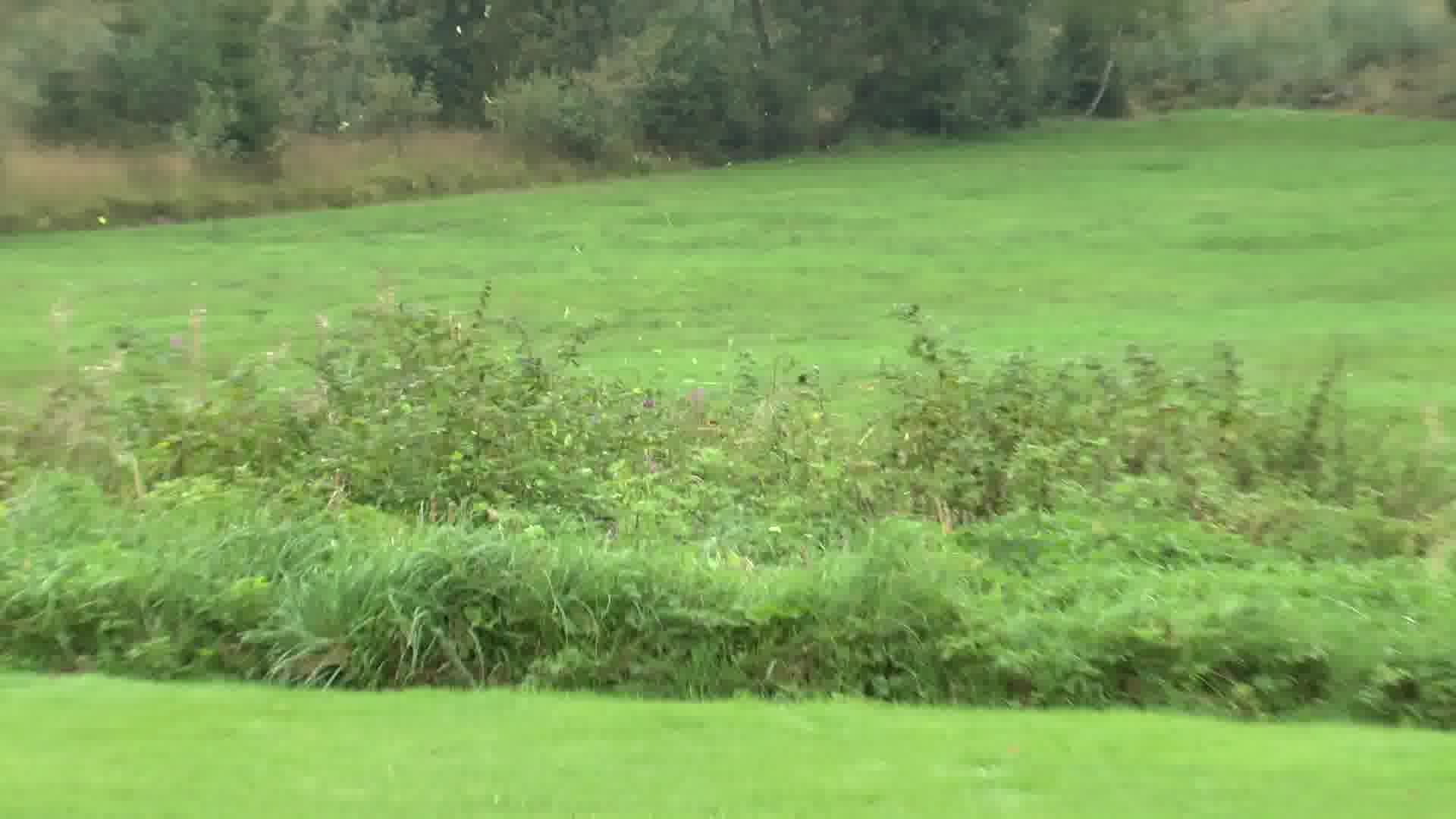 Nun spitzt das Gras, der Heli mit Negativpitch auf dem Boden.