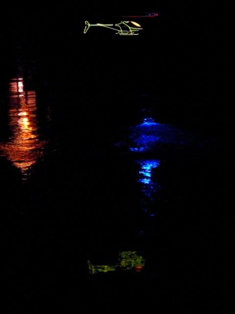 Nachtheli über See im Stadtpark 2.jpg