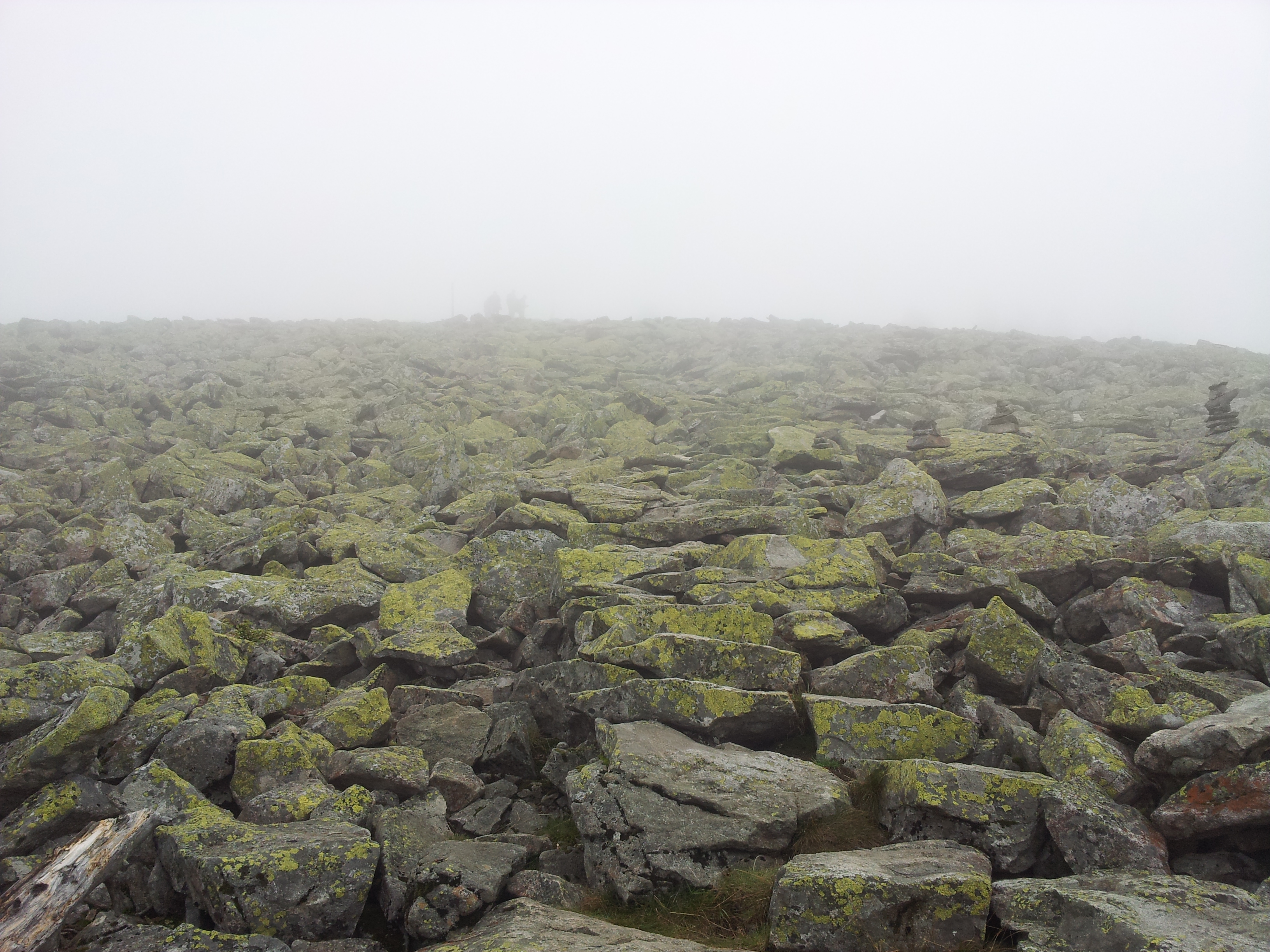 20120906_120534.jpg