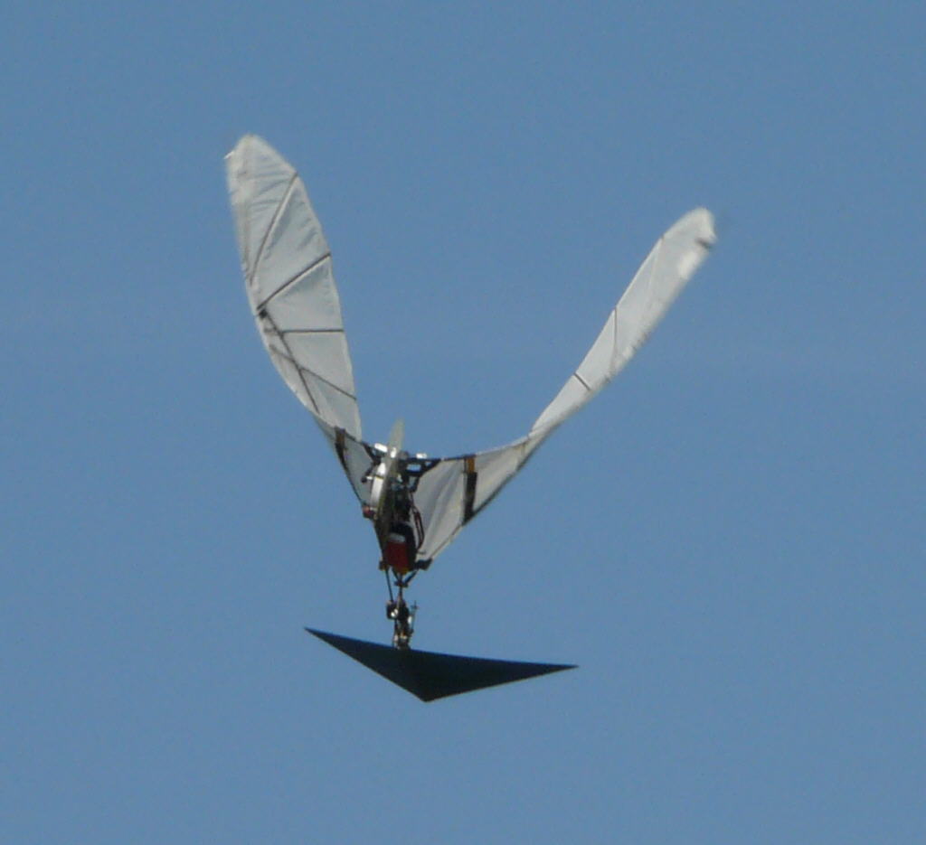 Inter-Ex_2010_Vogel_03.jpg