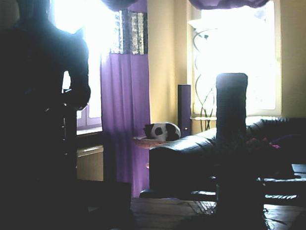 CapturFiles-201209260_1409.png