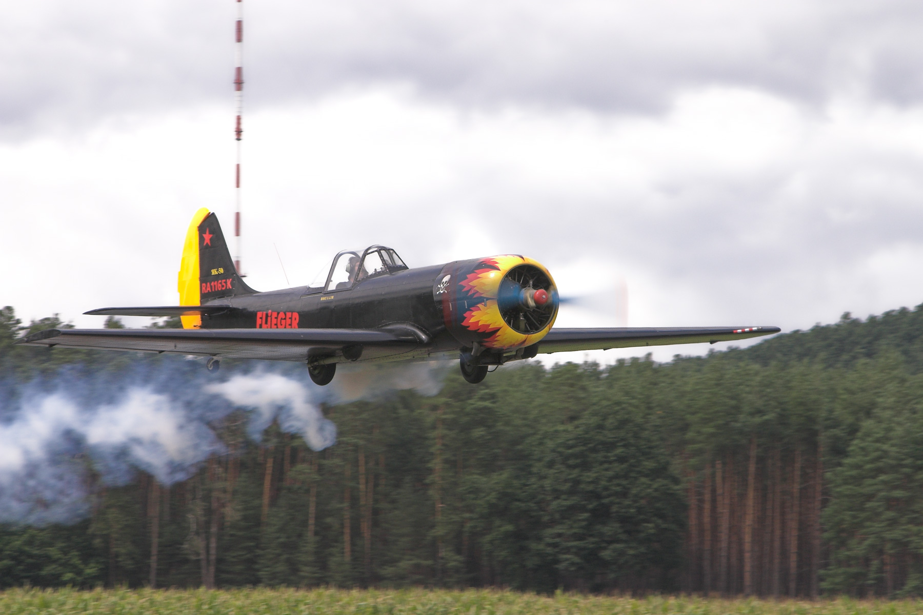 yak03.jpg