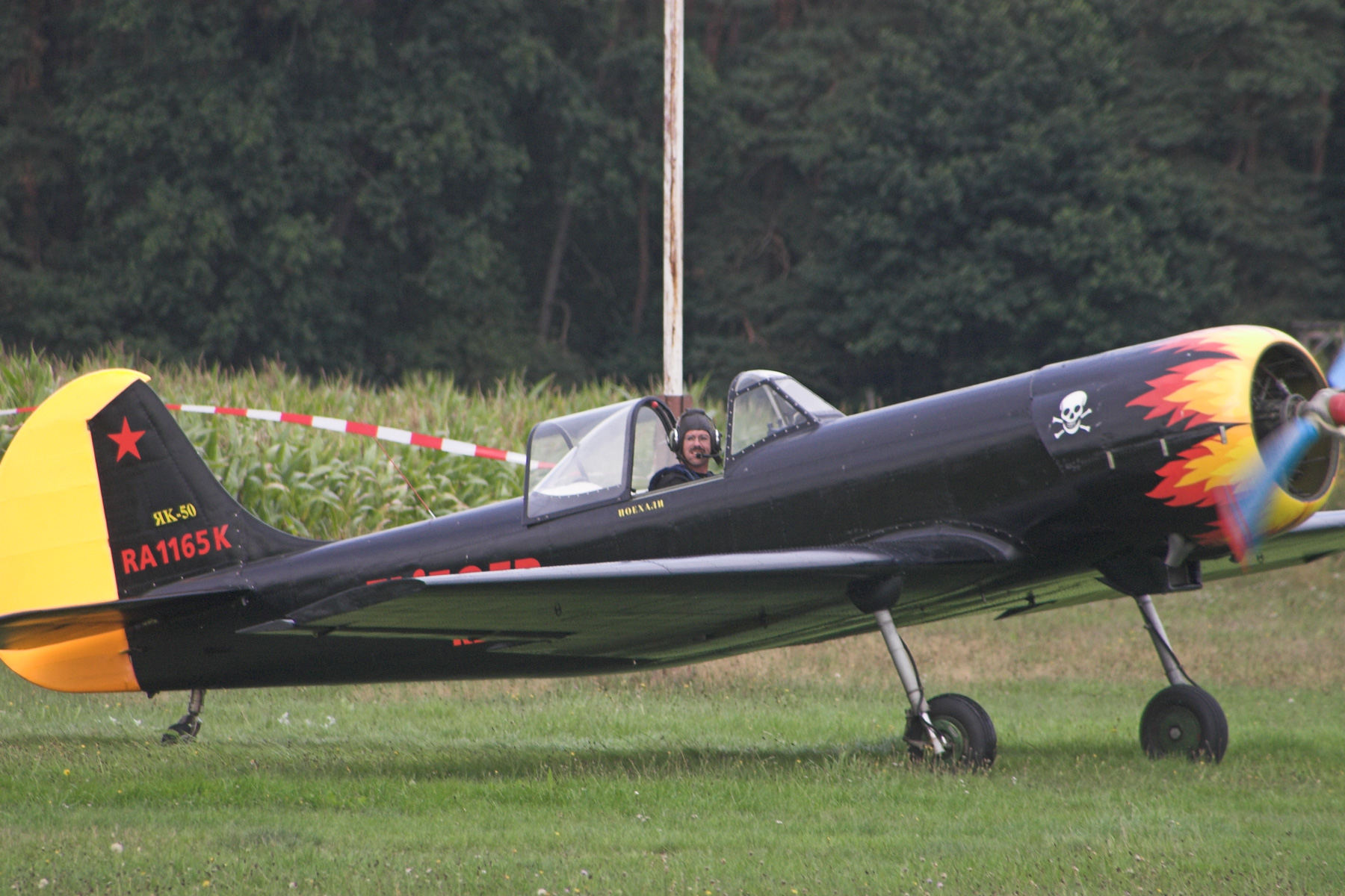 yak01.jpg