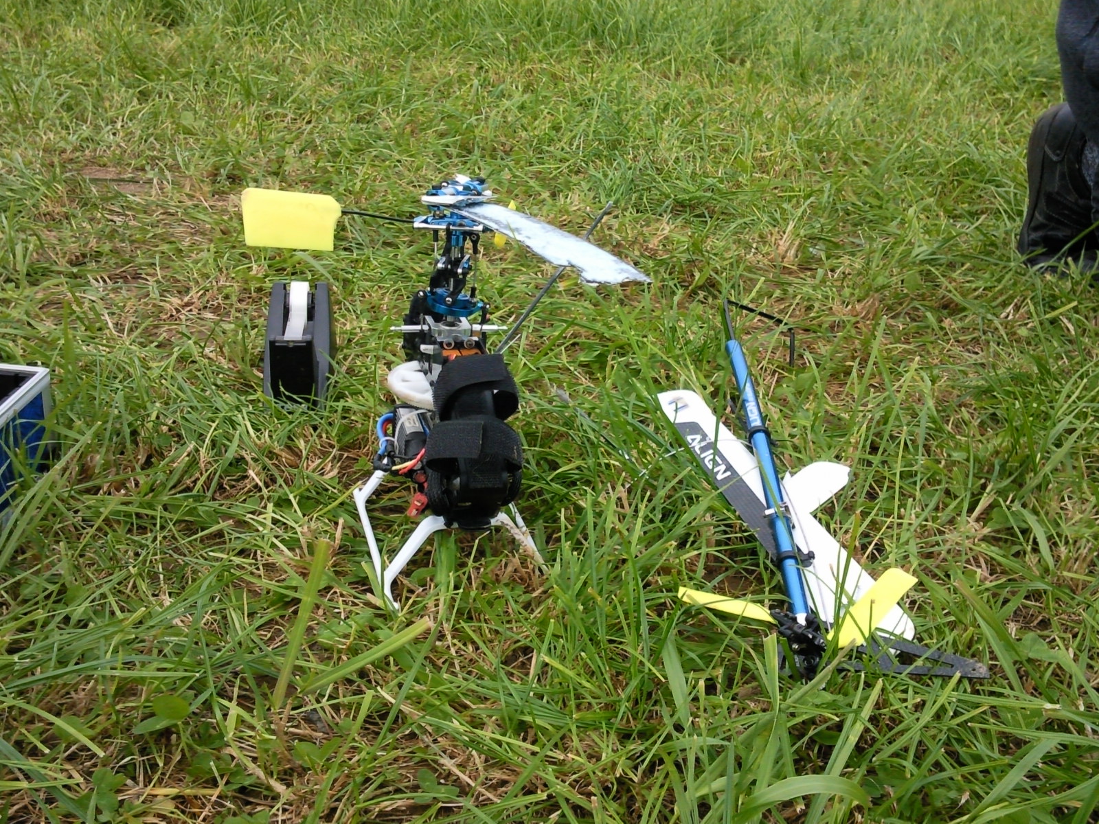 T-Rex 450 Pro Crash (2).jpg