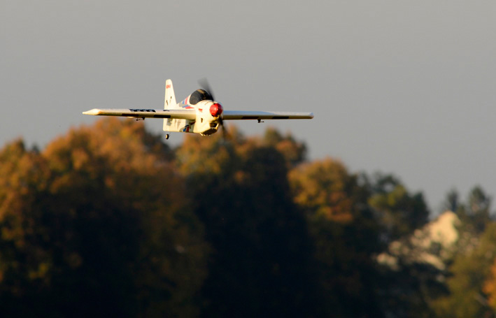 _CWP2842b_k.jpg