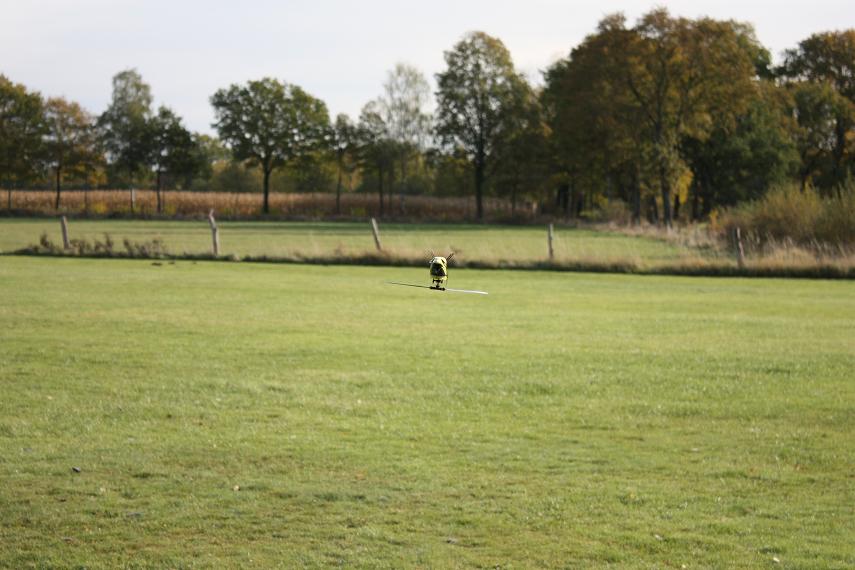 Frotheim Nov 2012 025a.JPG