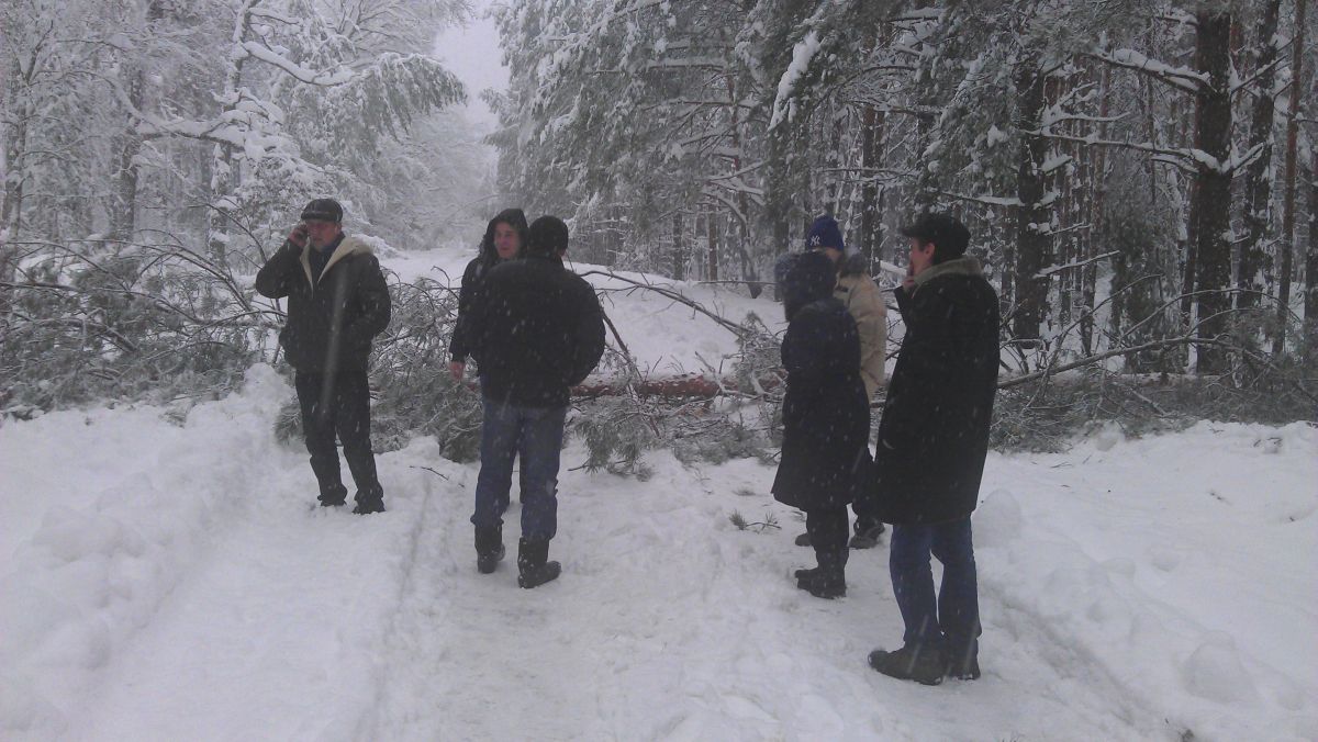 Baum versperrt den Weg