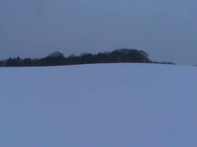 Feld 11.JPG
