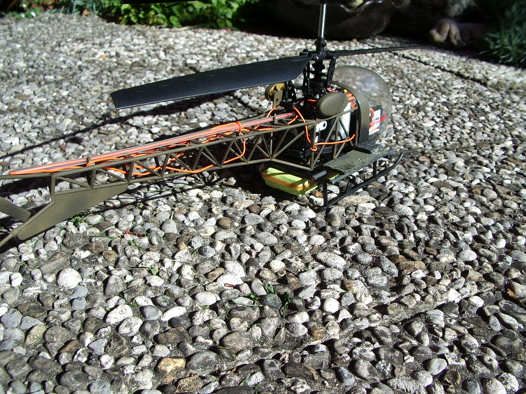 IMGP3429.JPG