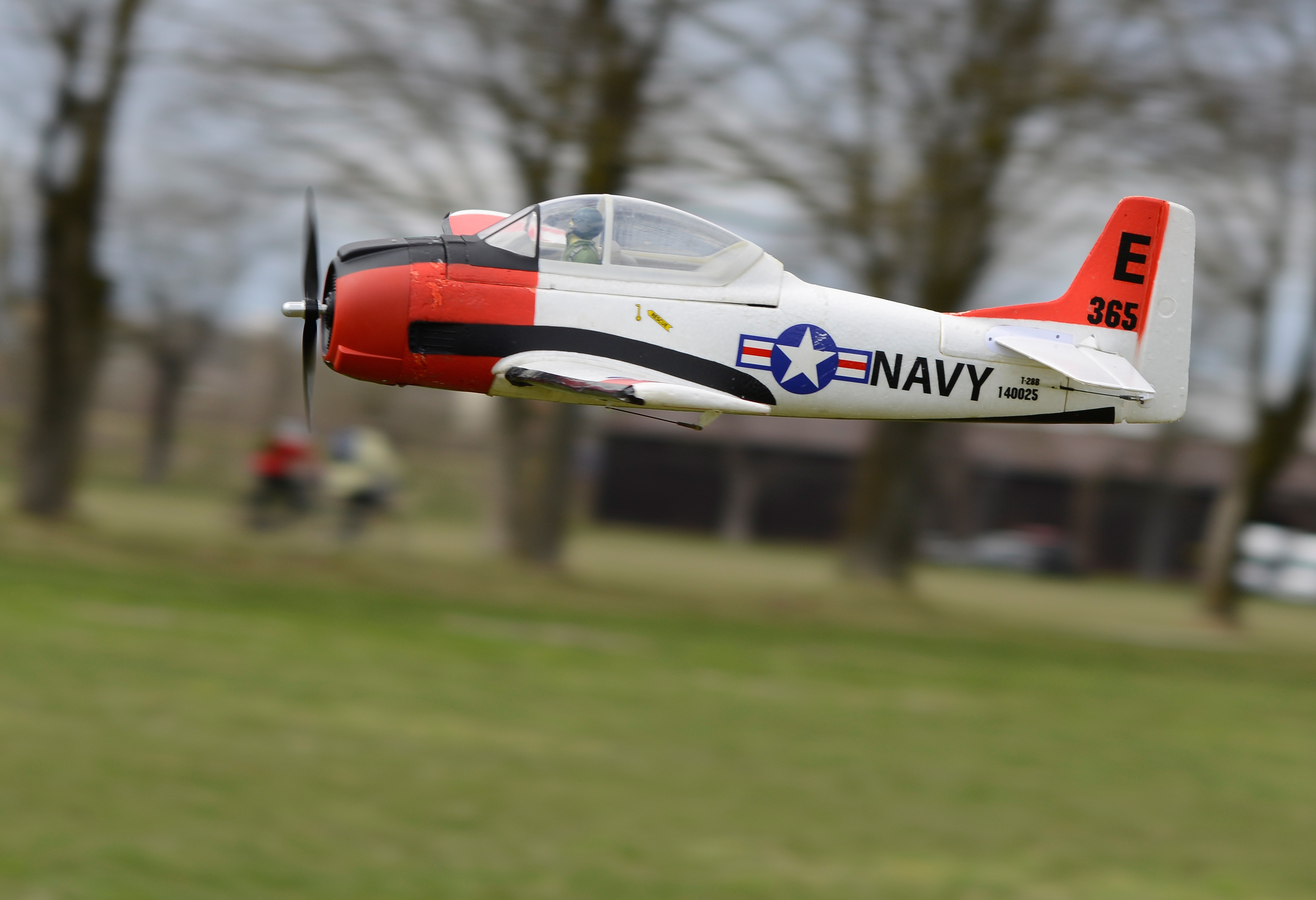 _CWP3248.jpg