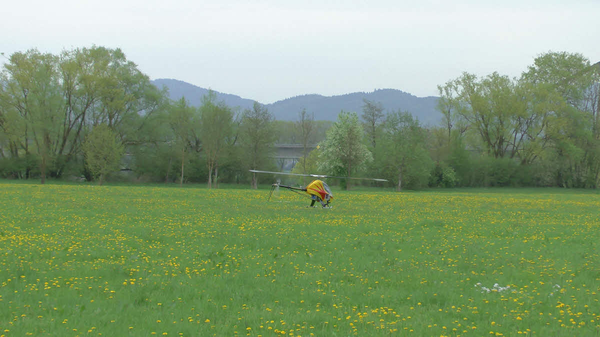 S1140131.jpg