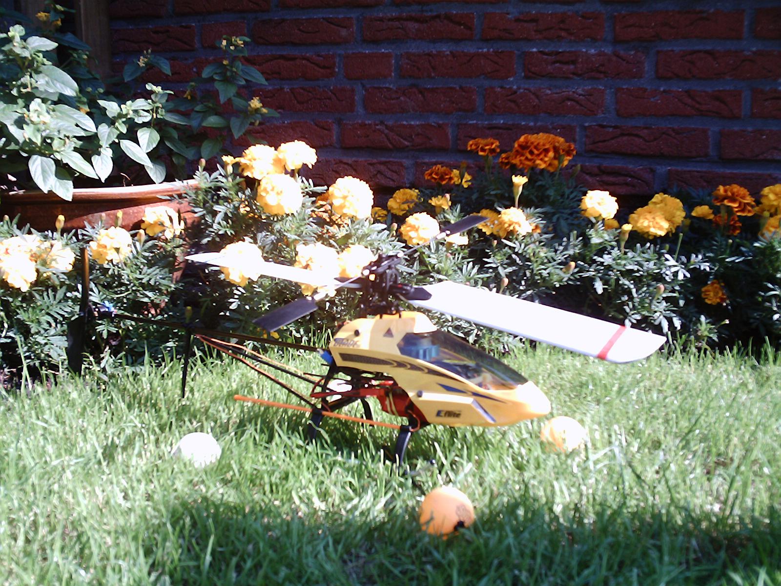 Blade im Gaten.JPG