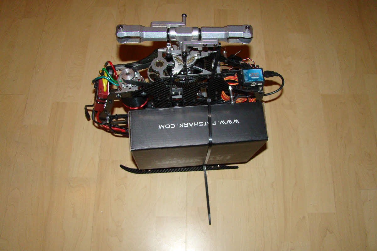 DSC06677.jpg