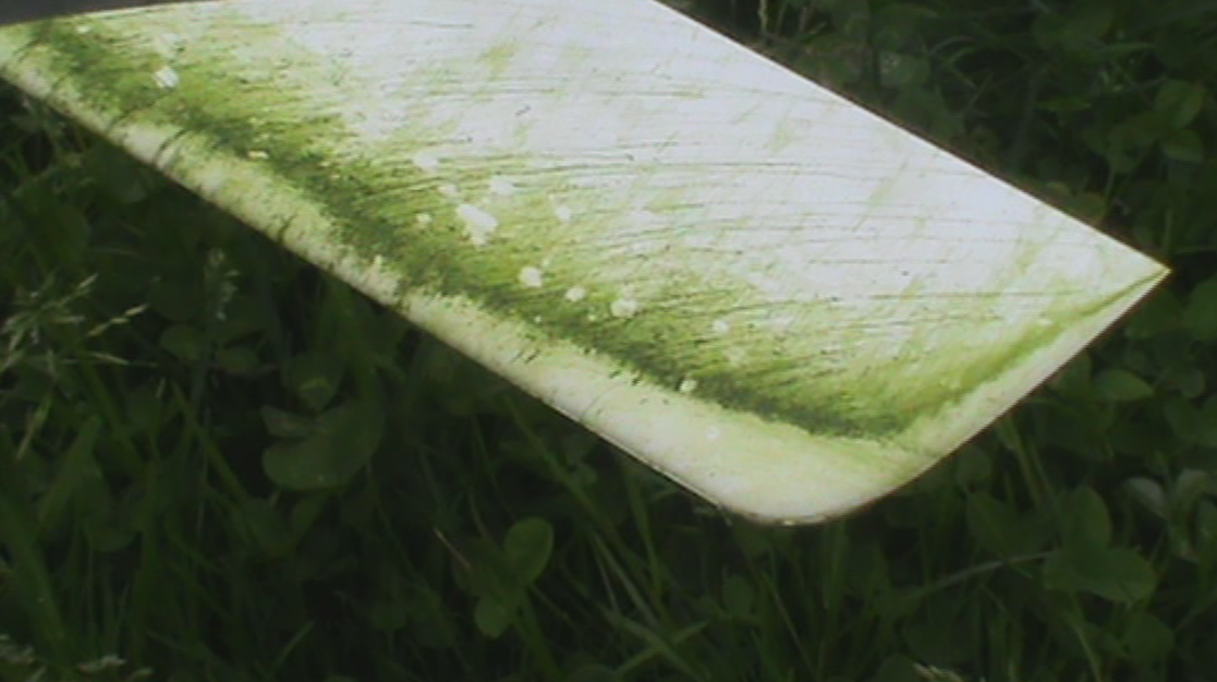 Gras.PNG