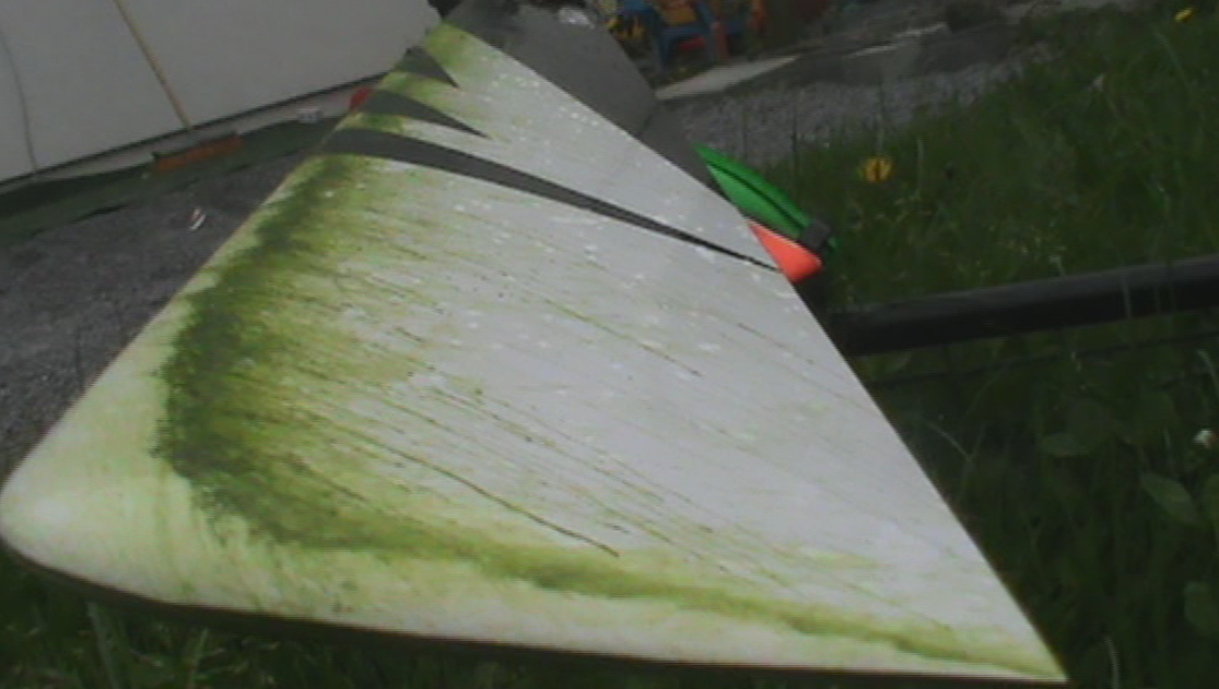 Gras 5.PNG