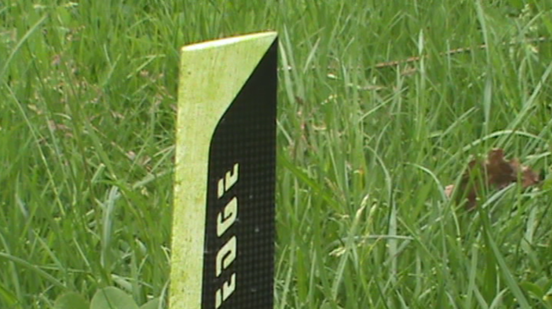 Gras 3.PNG