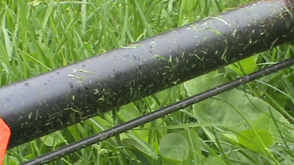 Gras 2.PNG
