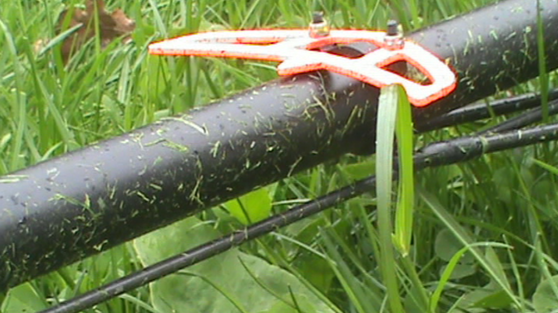 Gras 1.PNG