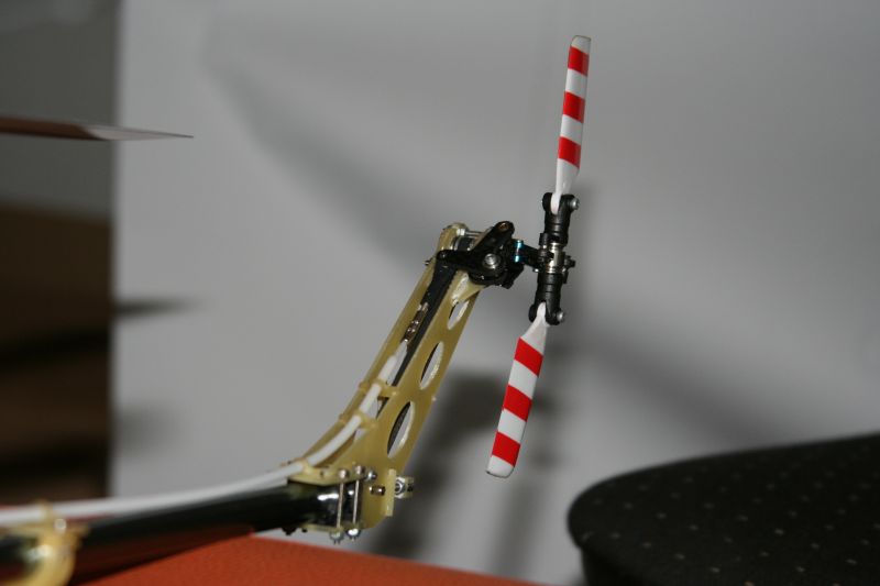 Kopie von IMG_9439.jpg