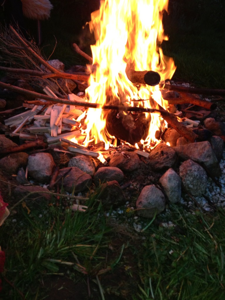 ImageUploadedByTapatalk1369259911.552283.jpg