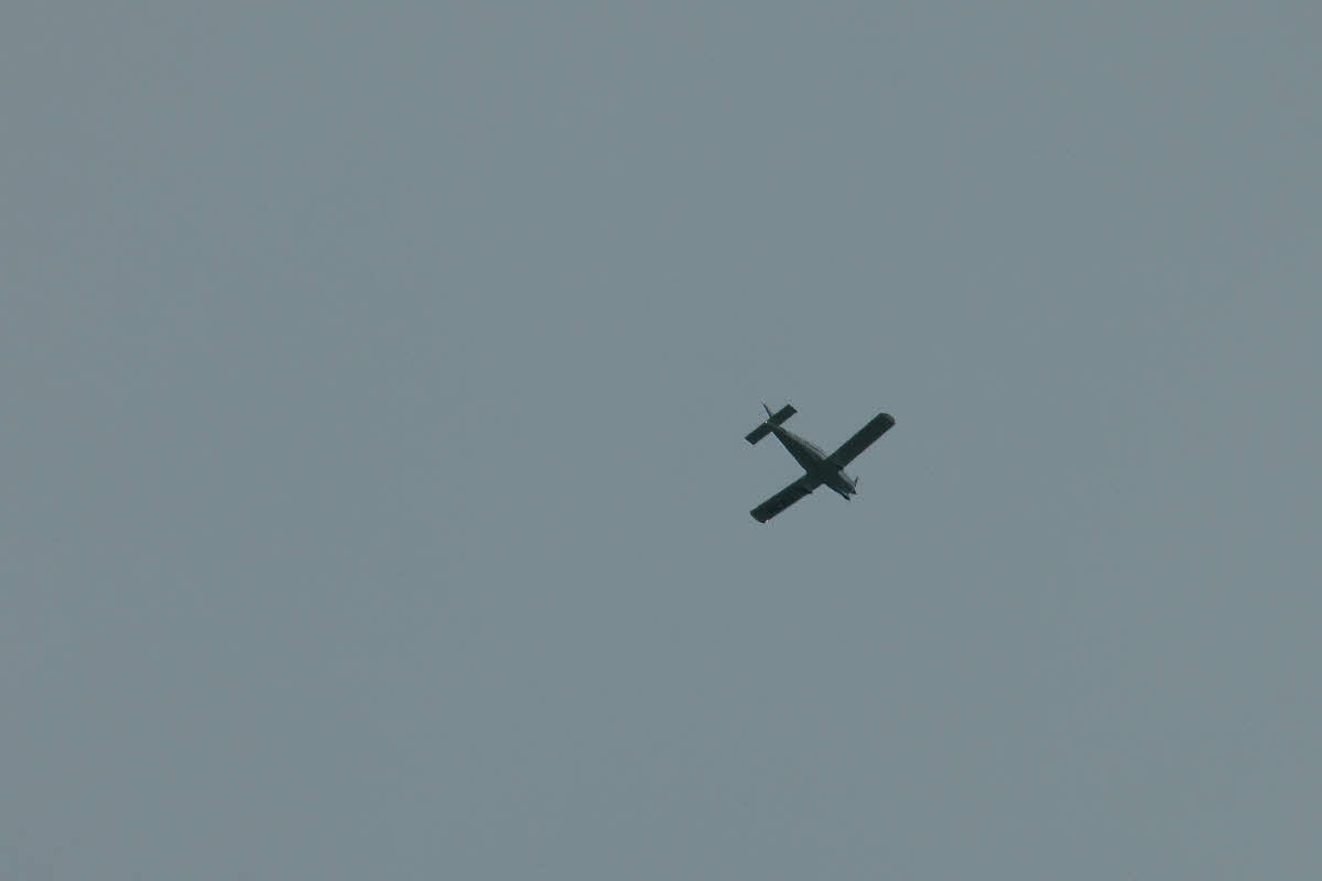 S1150264.jpg