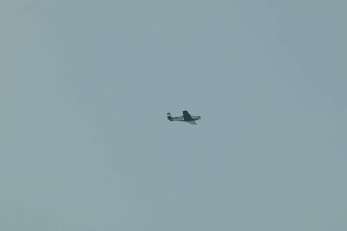 S1150261.jpg