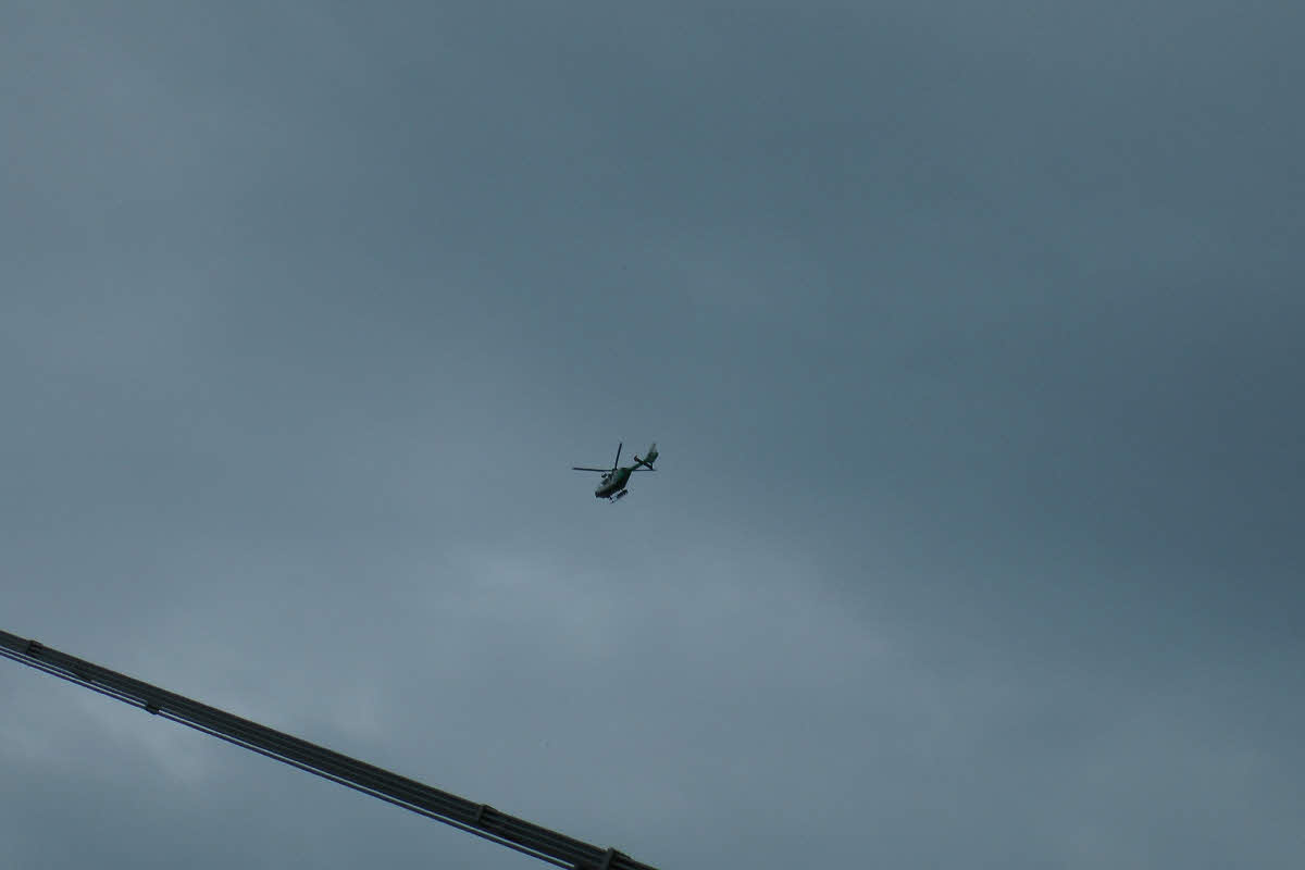 S1150254.jpg