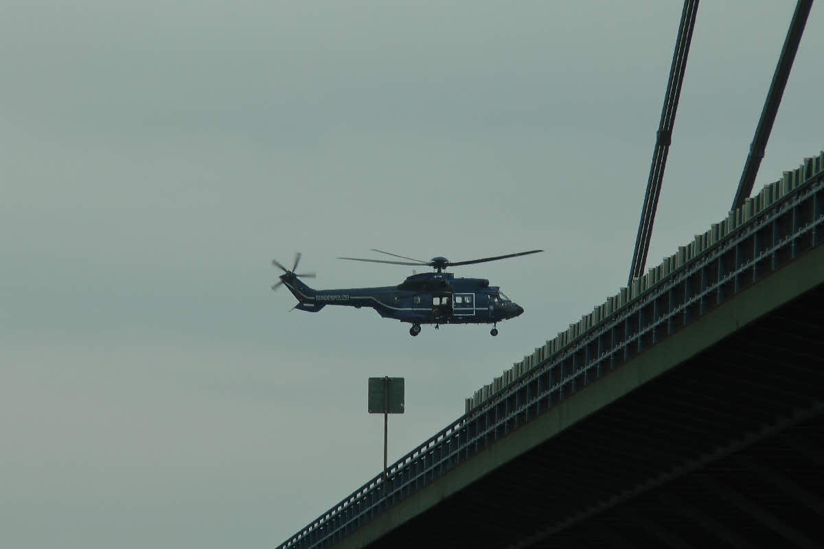 S1150246.jpg