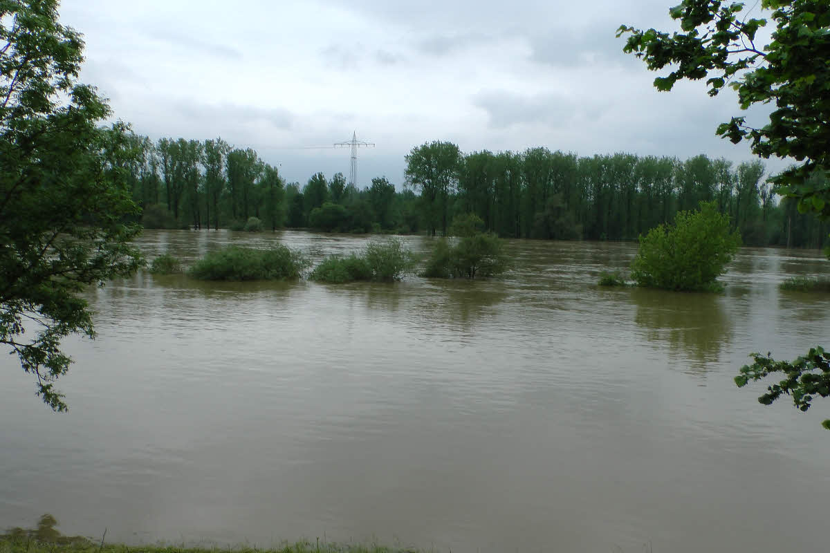 S1150235.jpg