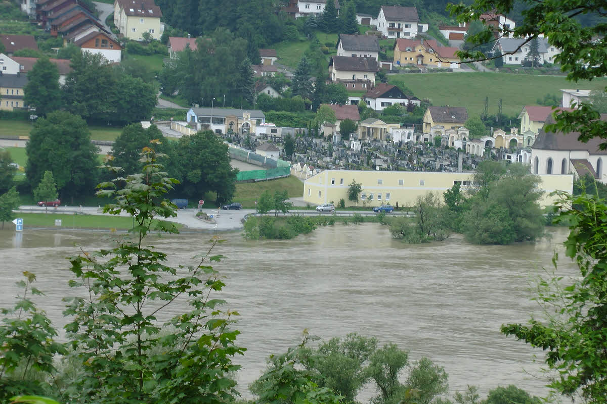 S1150226.jpg