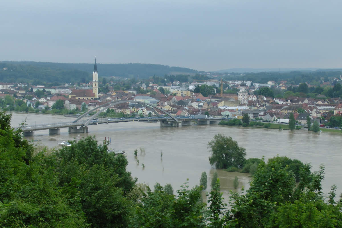 S1150223.jpg