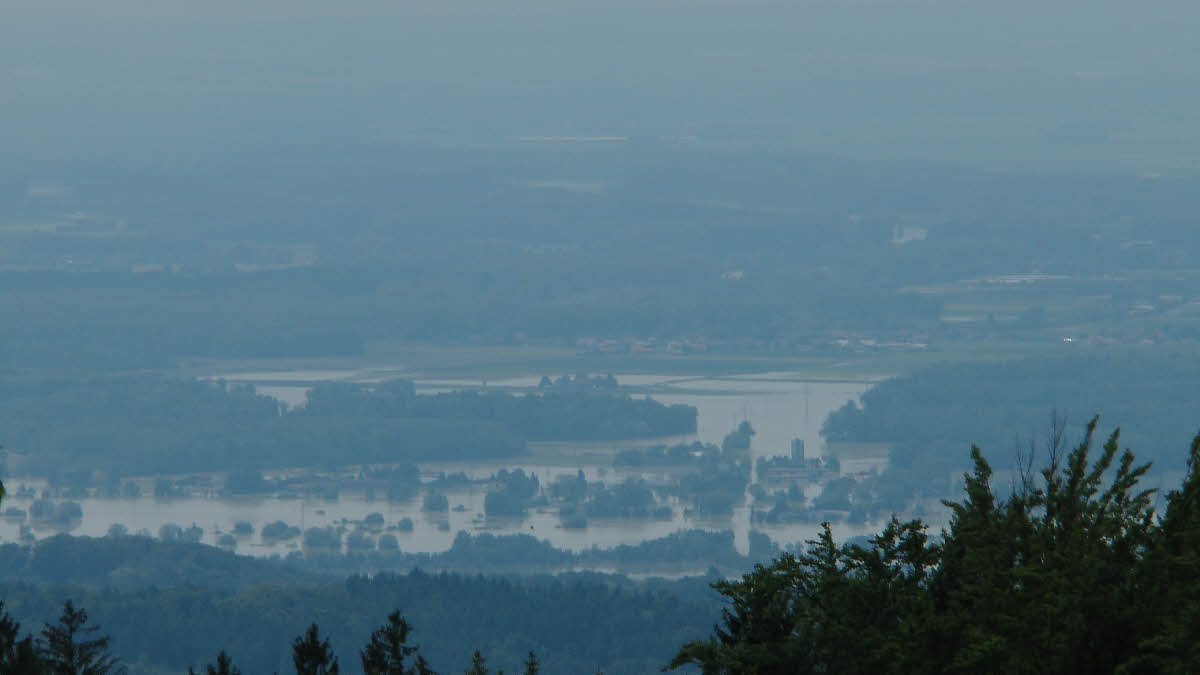 S1150291.jpg