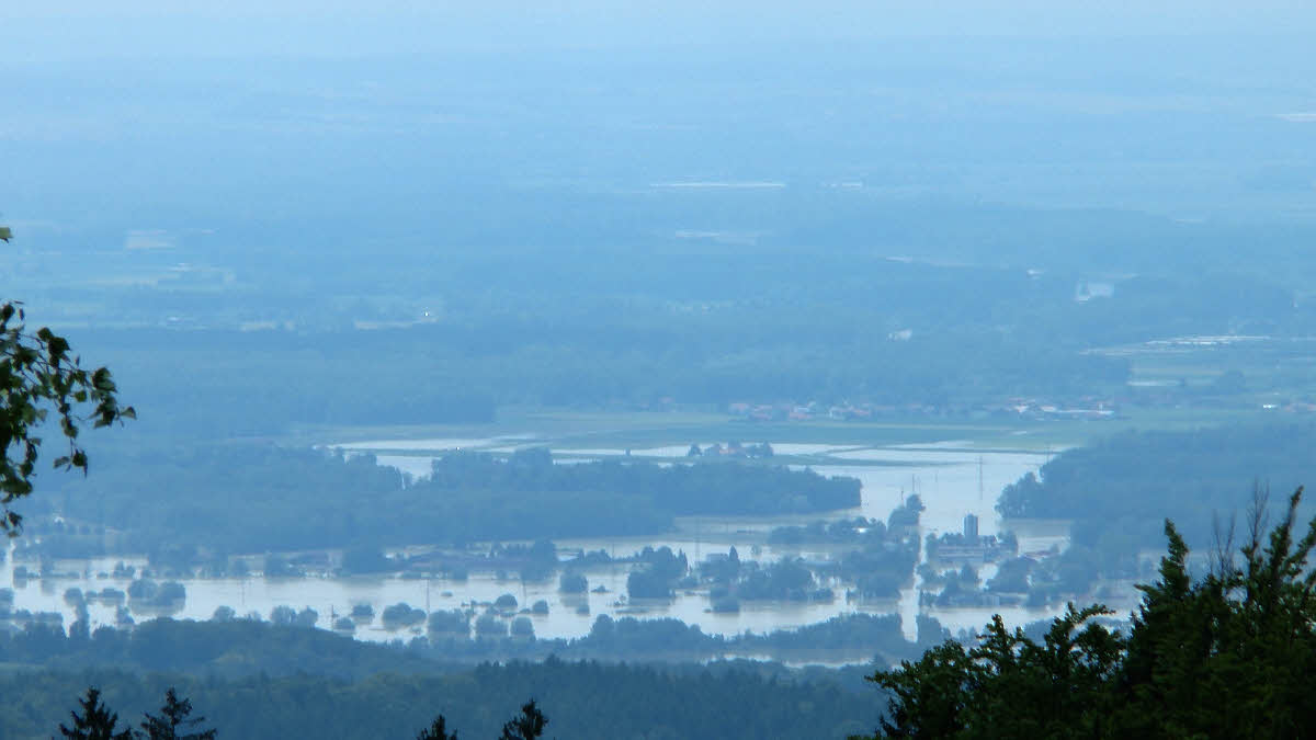 S1150290.jpg