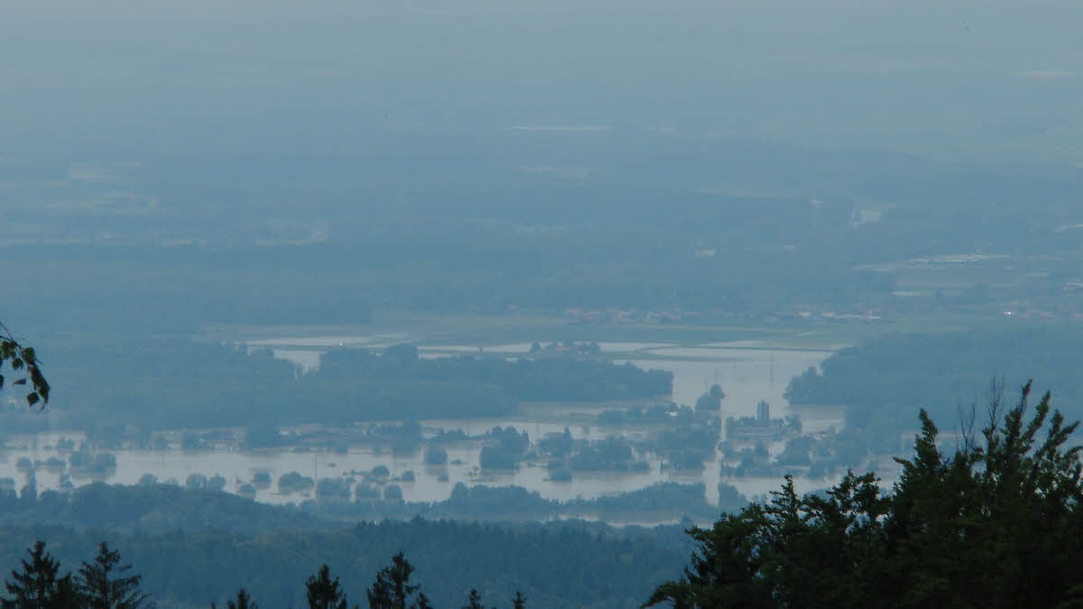S1150289.jpg