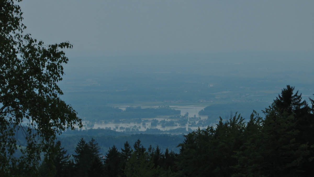 S1150287.jpg