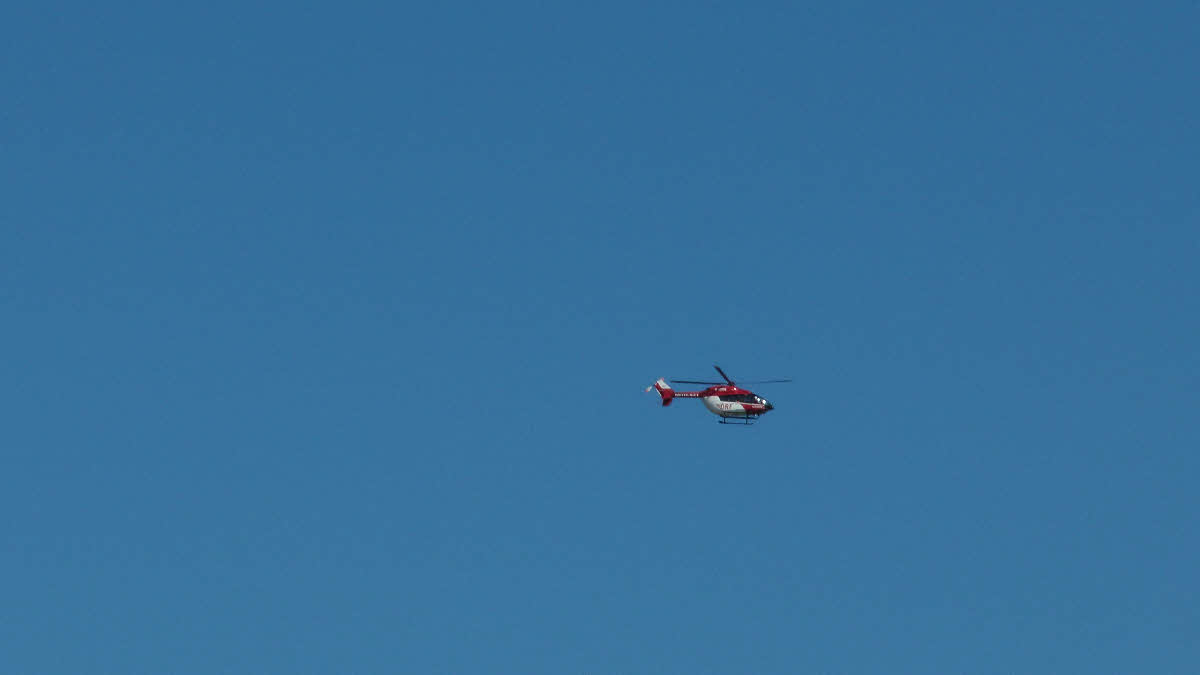 S1150333.jpg
