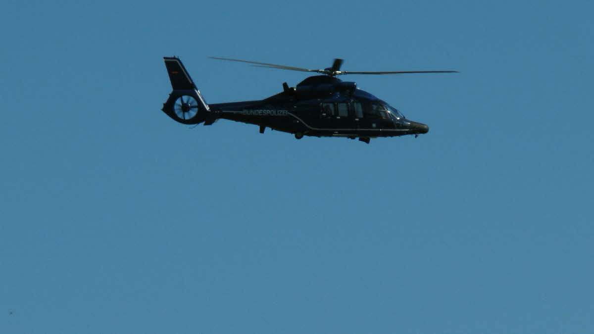 S1150314.jpg