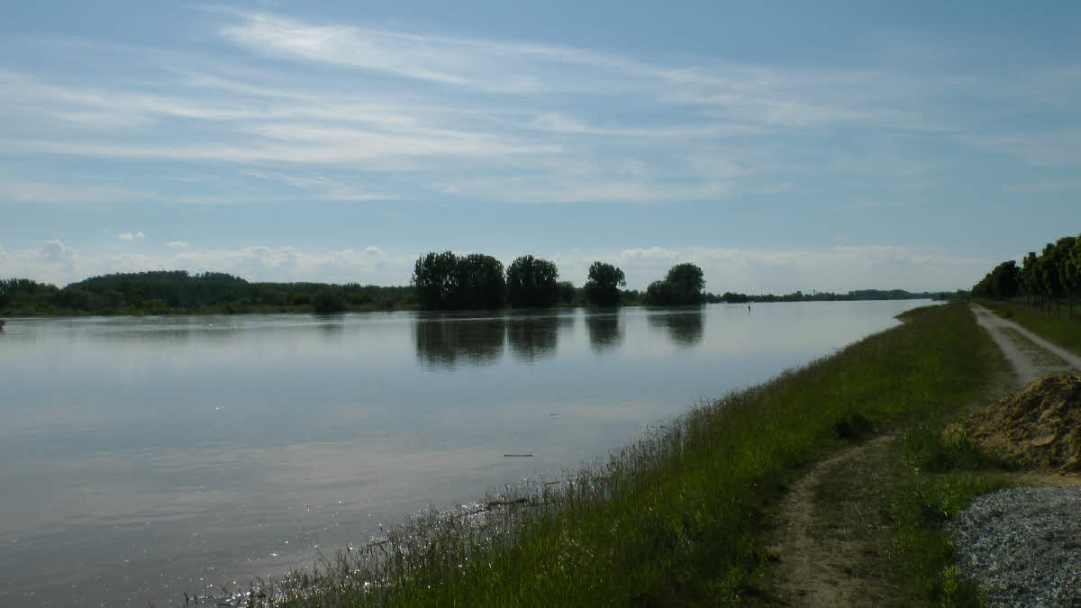 S1150294.jpg