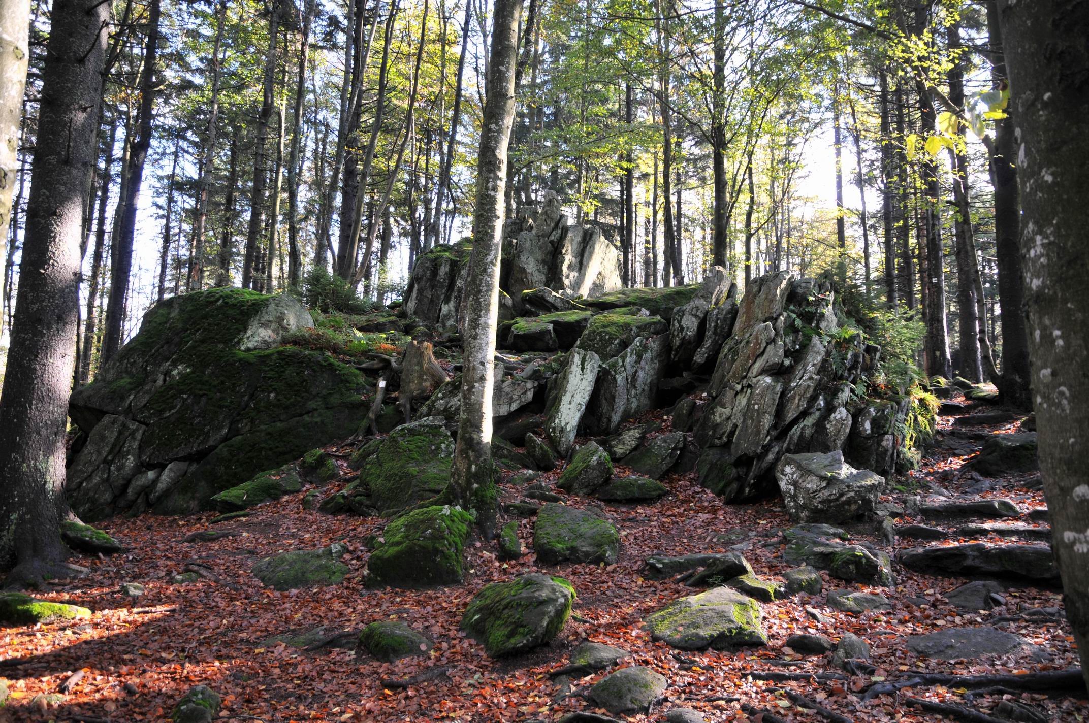 Waldhäuserriegel 13.10.2011