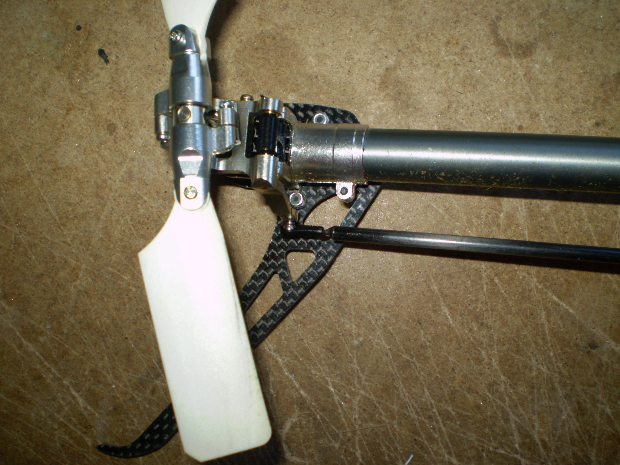 P4050004.JPG