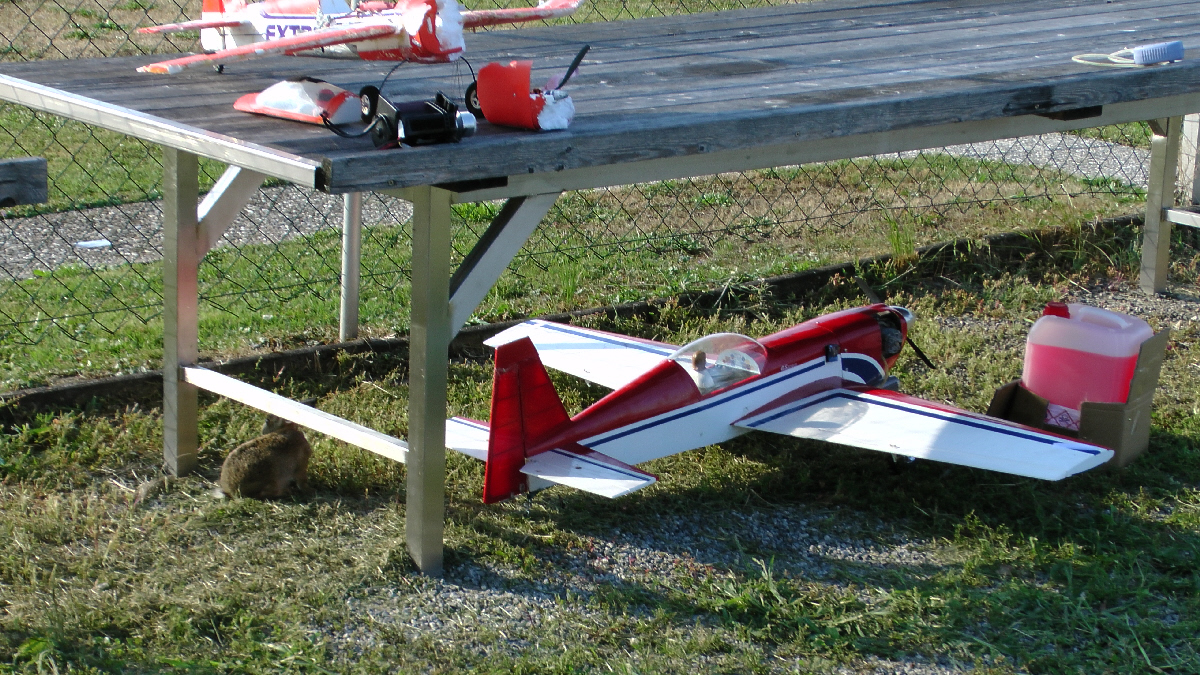 S1230001.jpg