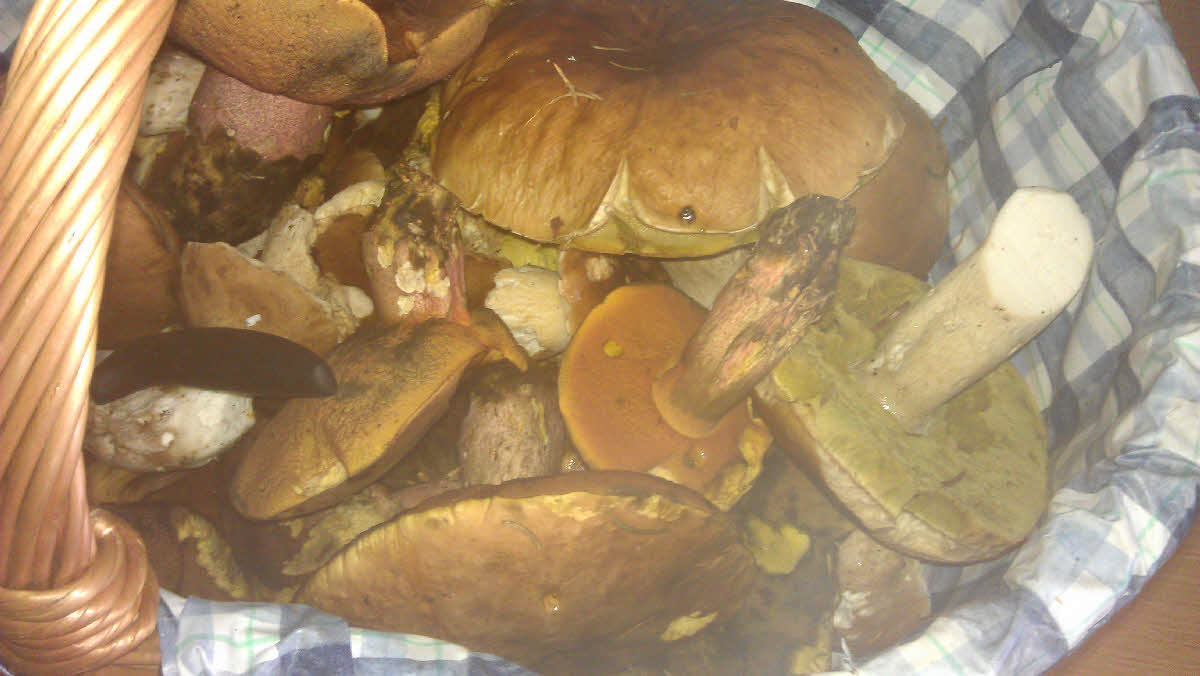 IMAG2118.jpg