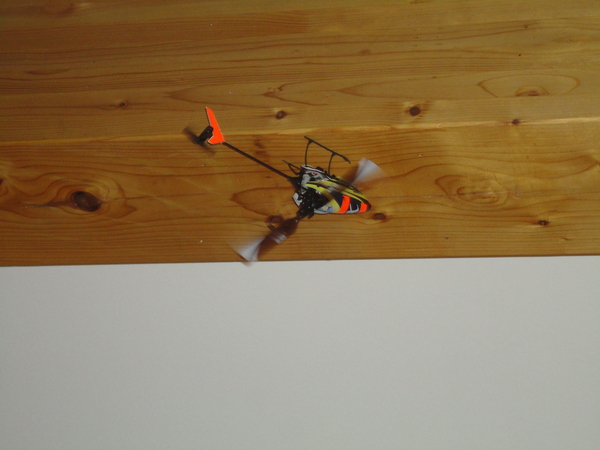 DSC02288.JPG