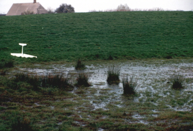 Senderantenne vergessen.jpg