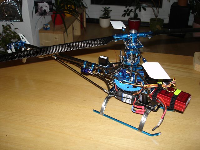 DSC03960_small.jpg