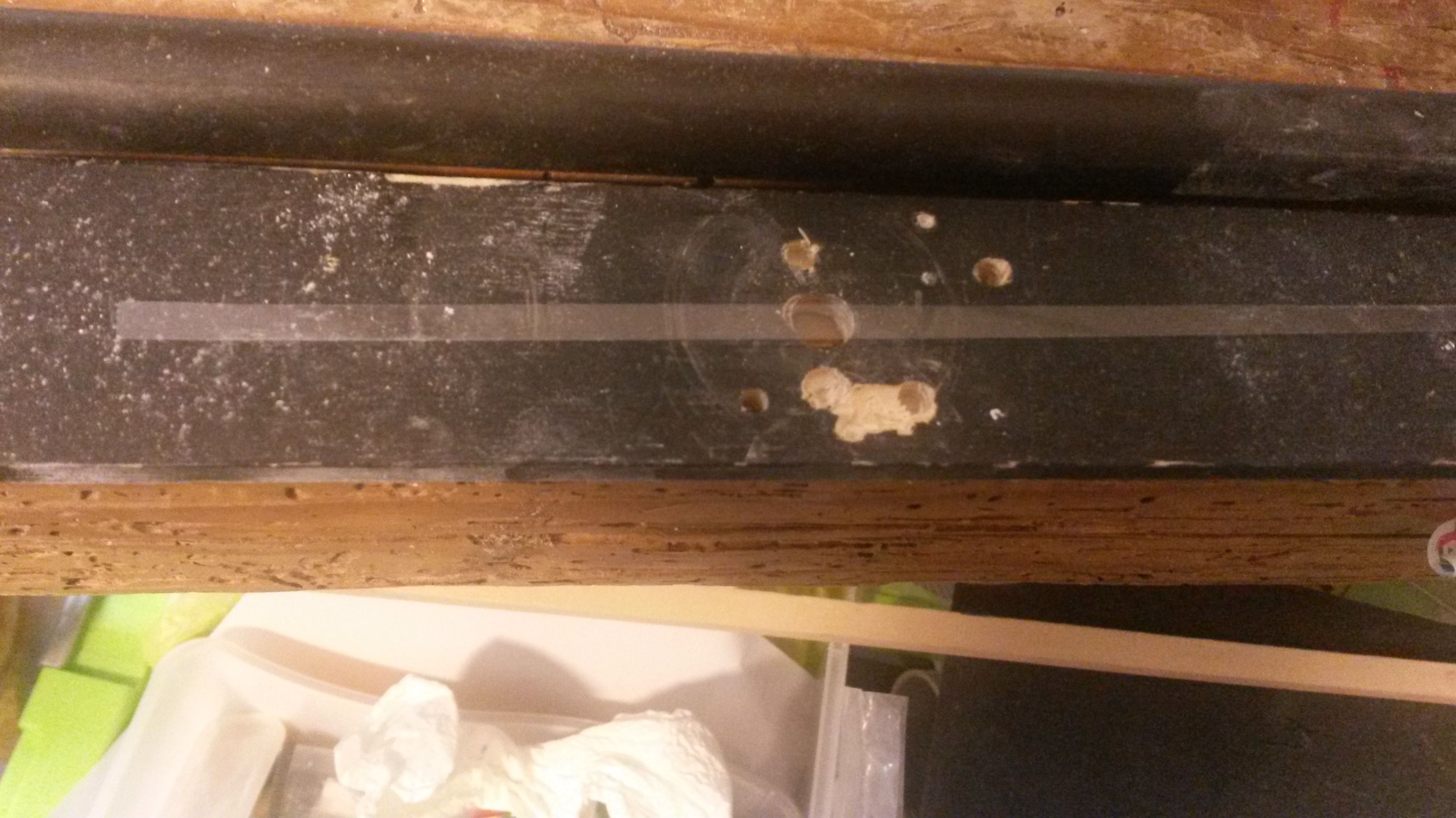IMG-20150101-WA0011.jpeg