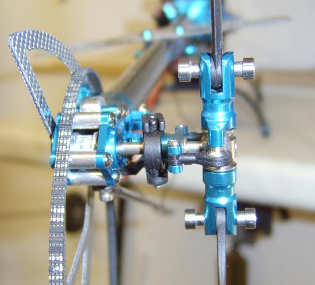 PMGs mit Zahnausfall.jpg