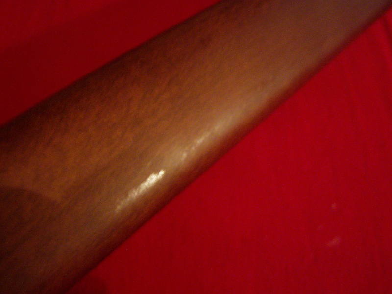 P1010164.JPG